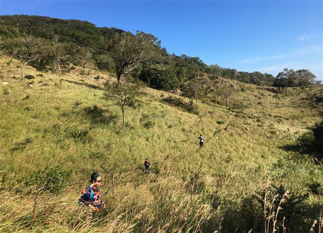 Le Parc diversifie ses activités d'écotourisme avec des visites guidées et de nouveaux itinéraires dans la forêt. Photo: VNA