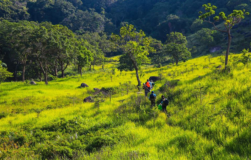 Trekking dans le Parc national de Nui Chua. Photo: VNA