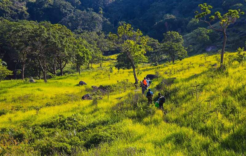 Trekking dans le Parc national de Nui Chua. Photo: VNA 
