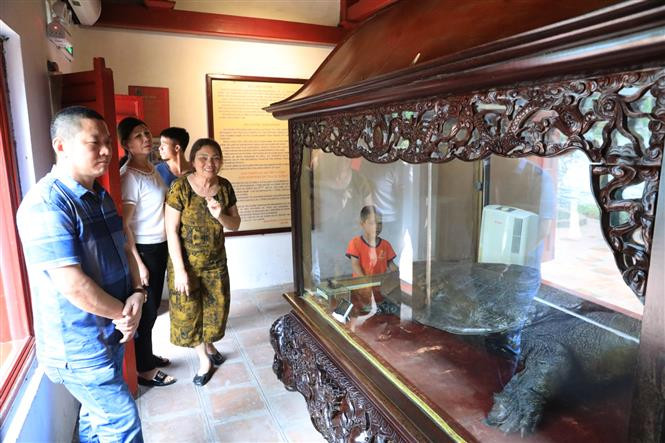 Une tortue géante naturalisée, qui vivait autrefois dans le lac, est conservée au temple Ngoc Son. Photo: VNA 
