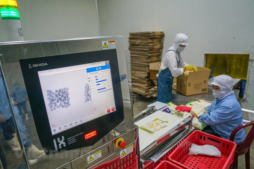 Les paquets d'ananas sont soigneusement contrôlés par un système d'inspection par rayons X avant de quitter l'usine. L'inspection par rayons X est une procédure d’inspection en pleine croissance, utilisée au sein des lignes de production alimentaires, elle assure une sécurité alimentaire accrue. Elle vise assure la sécurité des produits jusqu’à la consommattion finale ainsi que la sécurité opérationnelle pendant l’utilisation. Elle consiste des systèmes solides, robustes et fiables conçus spécifiquement pour tous les environnements de production alimentaire. Elle est capable de répondre à une variété de besoins d'inspection avec de nombreux algorithmes d’inspection ainsi qu'une technologie adaptative unique. Photo: Vietnam+