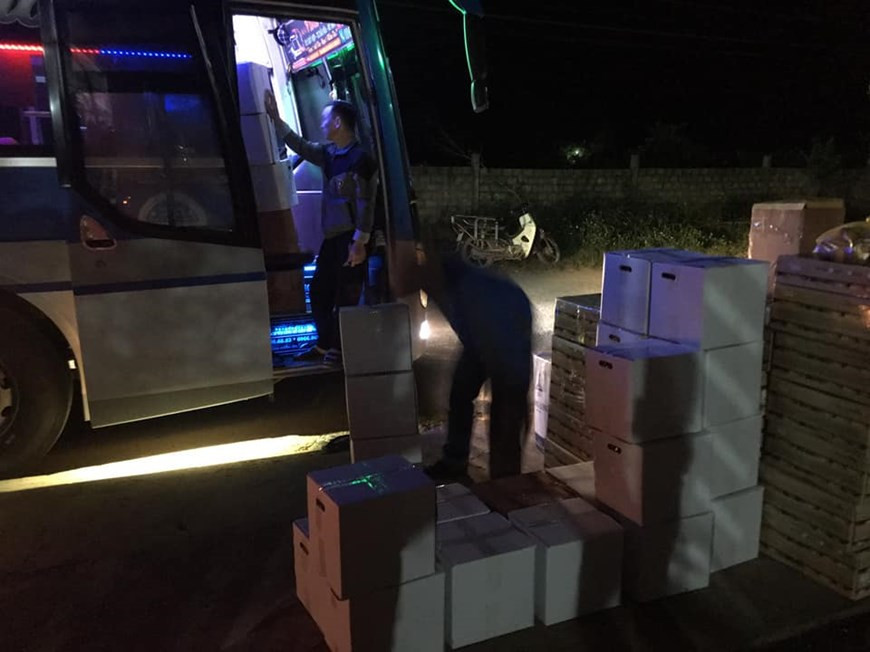 Jusqu’en mars 2019, Phu Quy Farms recense cinq hectares de culture d’organes biologiques et dix hectares répondant aux normes VietGap. Cette année, la compagnie a fixé l’objectif de porter la superficie de culture d’organes biologiques à 20 hectares et celle répondant aux normes VietGap à 50 hectares. Le rendement annuel des oranges répondant aux normes VietGap devrait atteindre 400 tonnes. Son produit «Orange Vinh Ky Yen» répond à des normes strictes: sans conservateurs, sans colorants, sans arômes synthétiques, sans stabilisants et sans modification génétique. Il est exposé dans plusieurs foires commerciaux et est vendu dans des supermarchés nationaux. Photo: VietnamPlus