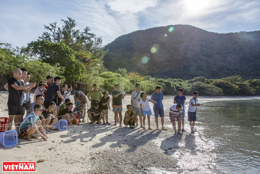 Lâchage de tortures en mer sous les yeux de touristes sur l’île de Bay Canh. 