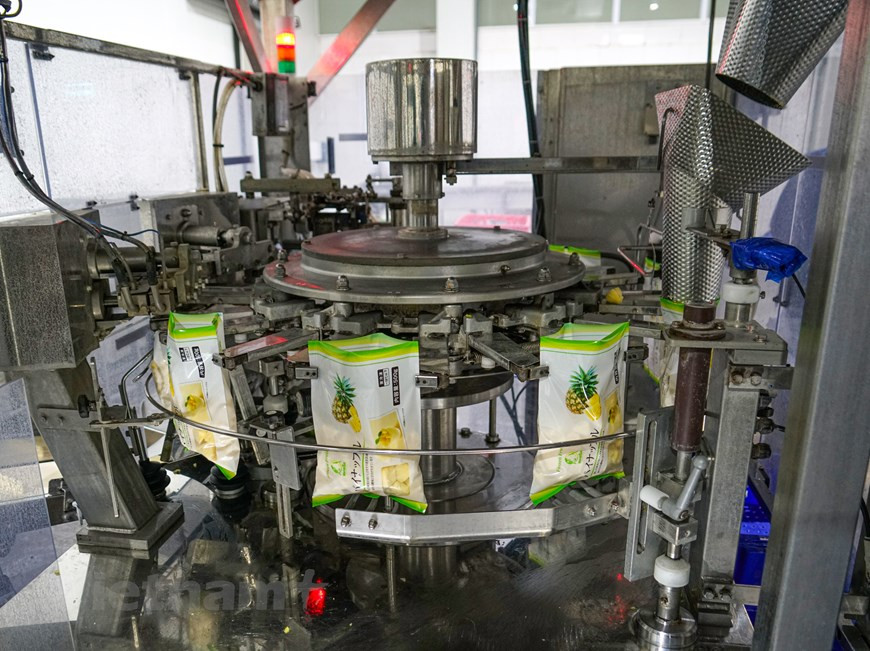 Les morceaux d'ananas de qualité garantie seront envoyés à la machine d'emballage. Le choix de l’emballage s’avère primordial, car non seulement il prévient la déshydratation, mais il empêche également les odeurs de se mélanger. De même, il importe qu’il puisse résister à l’eau, à l’huile ou à la graisse. Parmi les emballages souples figurent les sachets en plastique. Déclinés en plusieurs tailles, ils sont fermés par un lien ou un zip. Il existe également des sacs en polyéthylène de différentes dimensions qui sont spécifiquement créés pour la congélation. Ils conservent mieux les fruits et les légumes. Photo: Vietnam+