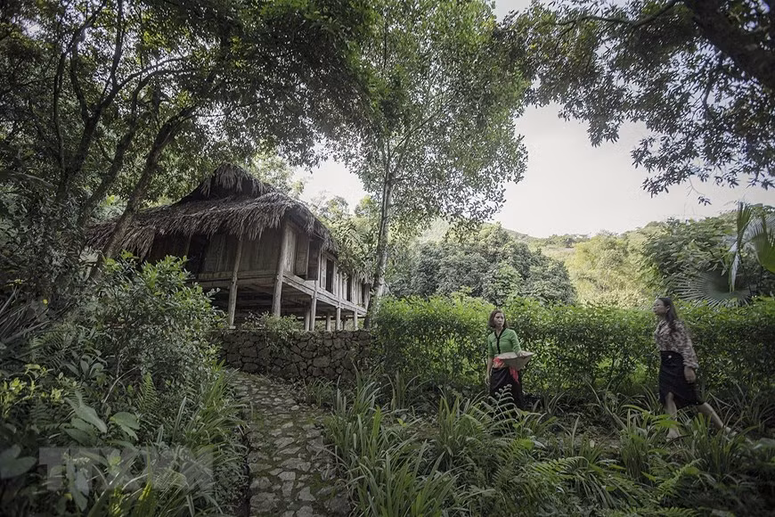 La Nooc sorte de classe intermédiaire