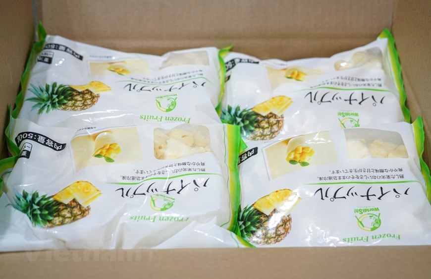 Les paquets d'ananas de Dong Giao sont exportés vers de nombreux marchés et vendus à prix d'environ un USD / 500gr. Avec ses saveurs exotiques et son goût sucré, l’ananas est un atout dessert incontournable. En plus de ses saveurs prononcées, il offre de nombreux avantages pour la santé, notamment au niveau du système cardiovasculaire, de la circulation sanguine et de l’arthrose. On prêterait même à l’ananas des propriétés contre le cancer. Très riche en fibres et en manganèse, l’ananas est également une excellente source de vitamine C. Le poids, la couleur verte des feuilles et la fermeté de l’ananas sont le signe qu’il est mûr à souhait. Photo: Vietnam +