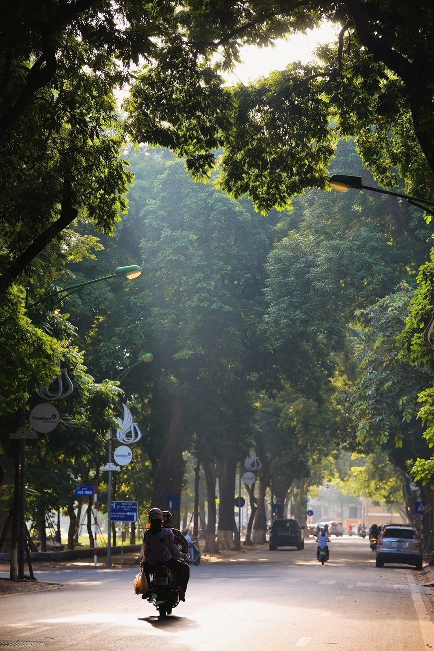 L’automne de Hanoï est aussi la saison du côm. Il s'agit de l'une des spécialités gourmandes de la capitale que l’on ne voit qu'en cette saison. Le côm, un encas prisé par les Hanoïens à chaque arrivée de l’automne, est constitué de jeunes grains de riz gluant. Le côm est vendu dans tous les coins de rues de la capitale. On le considère comme le meilleur riz de l’année, toutes variétés confondues. À cette période de l’année, tous les Hanoïens qui vivent loin de la capitale se souviennent avec nostalgie de la saveur du côm. Le côm se marie merveilleusement avec la banane. On peut en acheter, en tant que cadeau précieux de Hanoï, dans les grands marchés comme ceux de Hôm, Hàng Da, Hàng Bè, Hàng Than... 