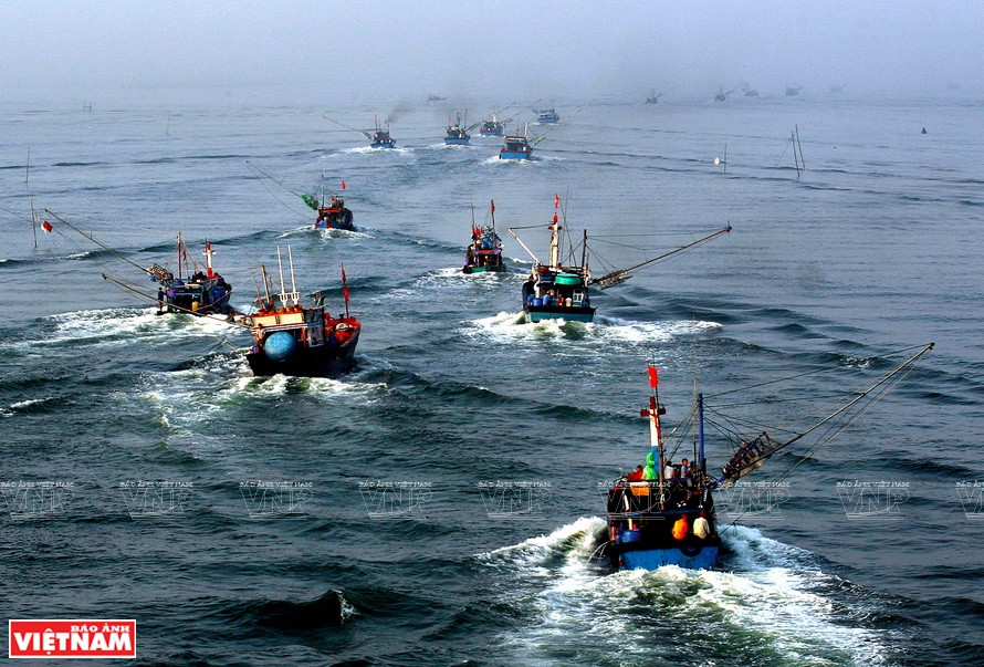Quang Tri est une localité avec une forte flotte de pêche hauturière, elle a donc de grands avantages dans le développement de l'économie maritime. Photo : Vietnam Illustré 