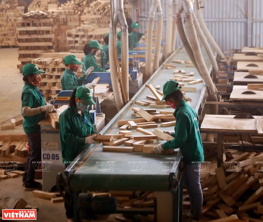 Transformation du bois à Quang Tri. Photo : Vietnam Illustré 