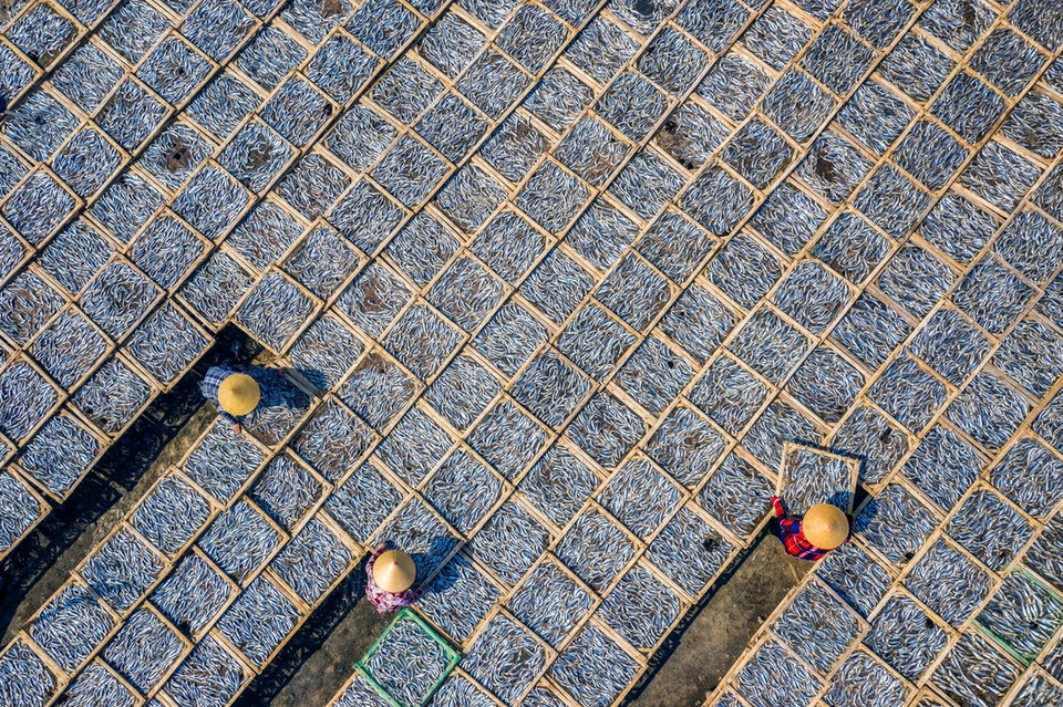 Le cliché « séchage du poisson » du photographe Nguyen Tan Tuan a été pris dans une cour de séchage de poisson dans la province de Ba Ria - Vung Tau, dans le Sud du Vietnam. 