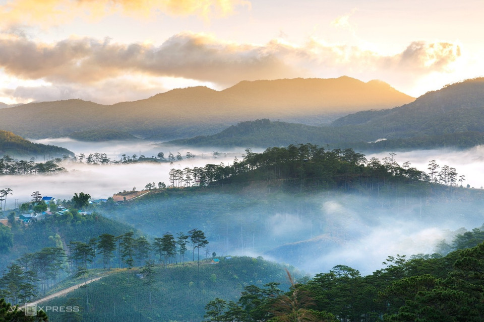 Niché sur une altitude moyenne d'environ 1400 m au-dessus du niveau de la mer, le plateau de Langbiang est l'une des zones d'oiseaux endémiques du Vietnam. Au milieu du plateau se trouve Da Lat - une ville verdoyante avec des forêts de pins, des parcs, des prairies et de nombreuses espèces de plantes, des centaines de fleurs. 