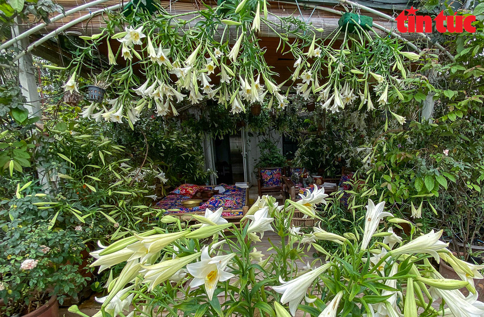 Photo : le journal “Tin tức” (Nouvelles)