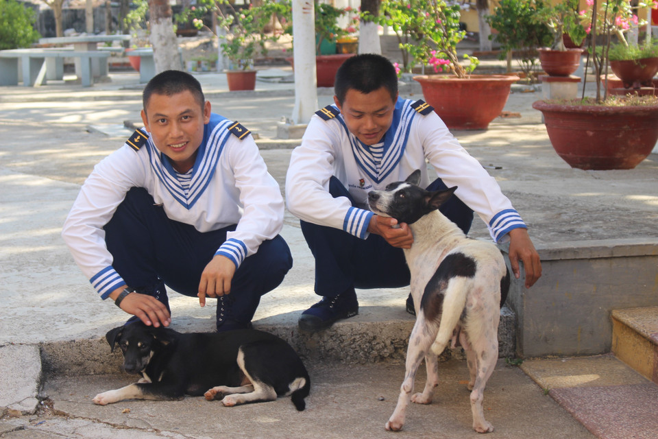 Des soldats sur l'île de Son Ca, archipel de Truong Sa (Spratleys), jouent avec des chiens. Photo: VNA 