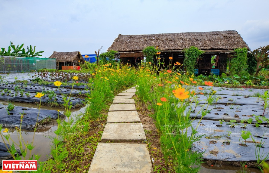 Dans la ferme Dat Phuong Nam, l’ambiance est très paisible et proche de la nature. 