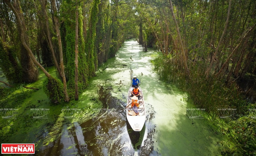 Les visiteurs découvrent la vie fluviale et la nature intacte dans le village flottant de Tan Lap. 