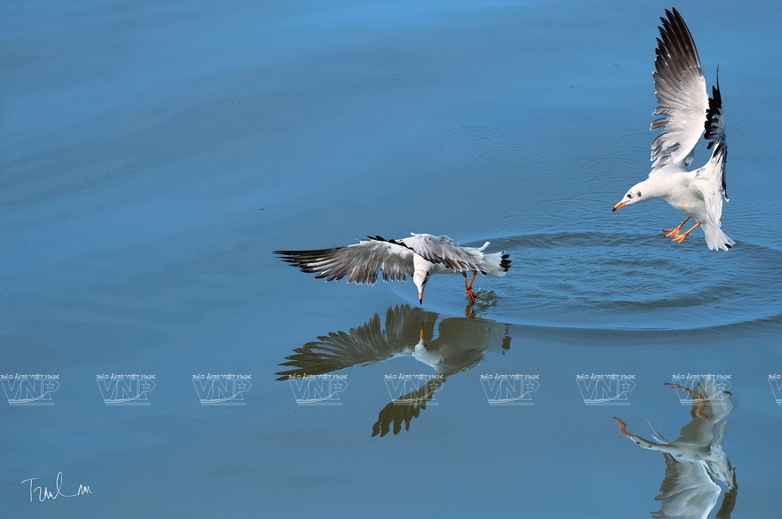 Toutes les photos exposées lors de cette exposition et 3.000 exemplaires du livre «Moments de la nature» ont été vendues afin de collecter des fonds pour les patients pauvres.