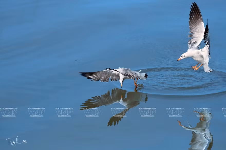 Toutes les photos exposées lors de cette exposition et 3.000 exemplaires du livre «Moments de la nature» ont été vendues afin de collecter des fonds pour les patients pauvres.