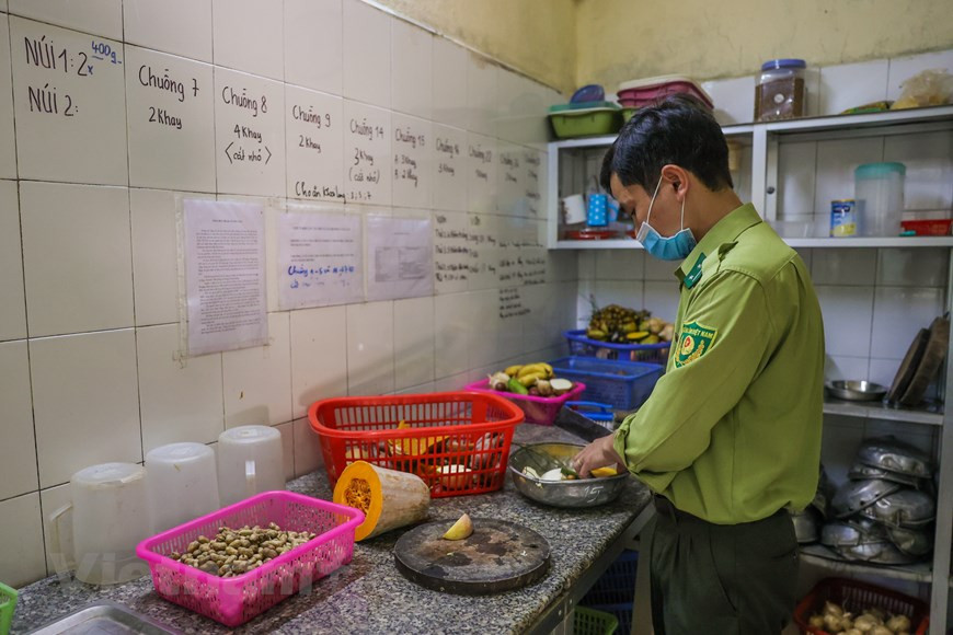 M. Do Dang Khoa, l'une des « nounous », a avoué qu'il travaillait au Centre de sauvetage des primates en danger de Cuc Phuong depuis près de 13 ans. Ce qui le rend fier, c'est de voir la « renaissance » et le rétablissement des primates. Pendant de nombreuses années, chaque matin, lorsque je me réveille et que je les vois s'amuser et grandir en bonne santé, tant d'anxiété et de fatigue dans mon corps disparaissent", a expliqué Do Dang Khoa. Sans un véritable amour pour la nature, les employés ne peuvent pas consacrer corps et âme à leur travail et contribuer à la conservation des animaux rares et précieux et les ramener dans leur habitat au milieu de la nature.
