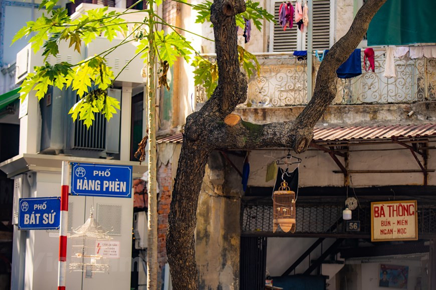 Des maisons aux balcons poussiéreux et rouillés, des fenêtres en bois décolorées au fil du temps, des murs pâles et écaillés..., sont toujours une image étrangement chère. De vieilles maisons nichées dans un petit coin de rue. Au milieu d'une capitale en pleine mutation, l'image des vieilles maisons comme un petit arrière-goût distillé demeure. A Hanoï, il y a des endroits qui ne sont pas pour ceux qui sont pressés, viennent un peu puis repartent, car l'espace de ces lieux est prêt pour que les visiteurs restent des heures à admirer, comme un coin de la rue Chau Long où beaucoup de gens s'arrêtent pour se plonger dans son ambiance nostalgique. Il y a des rues avec de vieilles maisons, il suffit de lever l'appareil photo, les visiteurs peuvent s'enregistrer de belles images. 