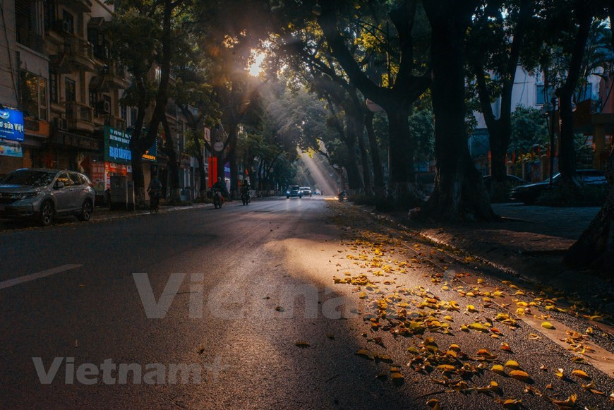 Ne portant pas le mot "Hang" comme beaucoup de noms des rues dans le vieux quartier de Hanoï, il y a une rue à l'architecture occidentale audacieuse, considérée comme l'une des plus belles rues de Hanoï, c'est la rue Phan Dinh Phung. Parallèlement à la rue Quan Thanh, la rue à sens unique s'étend de Mai Xuan Thuong à la rue Hang Cot sur une longueur de 1,5 km. Pendant la période coloniale française, c'était le boulevard Carnot. Après la révolution d'Août, il a été rebaptisé suivant le nom du patriote révolutionnaire Phan Dinh Phung. Lorsque Hanoï devint la capitale de toute la Fédération de l'Indochine, les colonialistes français planifièrent Hanoï dans le sens d'une zone urbaine à l'occidentale. Les rues ont été décorées selon les décrets du gouverneur général d'Indochine, gouverneur du Tonkin. 
