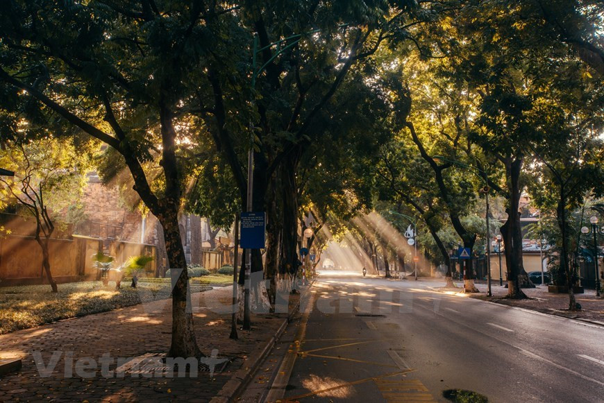 En automne, le soleil brille à travers le feuillage des arbres dans la rue Phan Dinh Phung qui est considérée comme l'une des plus belles rues de la capitale Hanoï. Les Hanoiens et les touristes tombent amoureux de cette rue située dans l'arrondissement de Ba Dinh, notamment en automne. La rue à sens unique s'étend de Mai Xuan Thuong à la rue Hang Cot sur une longueur de 1,5 km. La rue traverse également les rues Hoang Dieu, Dang Dung, Nguyen Tri Phuong et Hang Bun. Elle porte le nom de Phan Dinh Phung (1847 - 1896), un révolutionnaire vietnamien qui dirigea l'insurrection contre les forces coloniales françaises au Vietnam à la fin du XIXe siècle. 