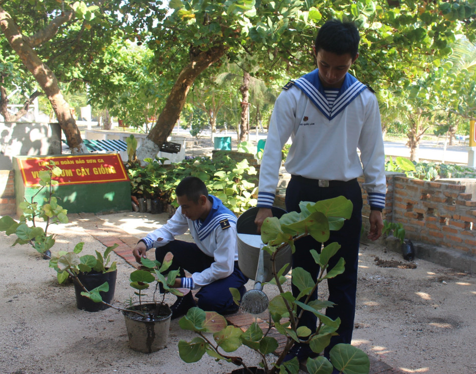 Des soldats s'occupent de plantes. Photo: VNA 