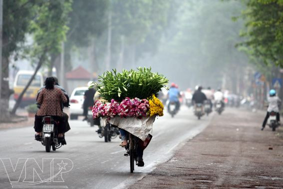 Des lys de Pâques sont largement vendus en avril dans les rues. Photo : Vietnam Illustré