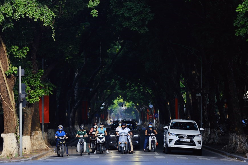 La rue Phan Dinh Phung avec deux rangées parallèles de vieux pancoviers est considérée comme la plus belle rue de Hanoï. La rue a été baptisée selon le nom d’un révolutionnaire vietnamien de la province de Ha Tinh (Centre) qui figurait parmi les érudits de la cour confucéens les plus éminents impliqués dans les campagnes militaires anti-françaises au XIXe siècle et a été reconnue après sa mort par les nationalistes du XXe siècle comme un héros national. La rue Phan Dinh Phung, d’une longueur d'environ 1,5 km qui s'étend de la rue Mai Xuan Thuong à la rue Hang Cot, abrite de nombreux bâtiments historiques, dont la magnifique église Cua Bac. Cette rue fait partie de celles qui ont les trottoirs les plus larges de la capitale, avec ses rangées d'arbres donnant de l'ombre et une scène agréable et tranquille.