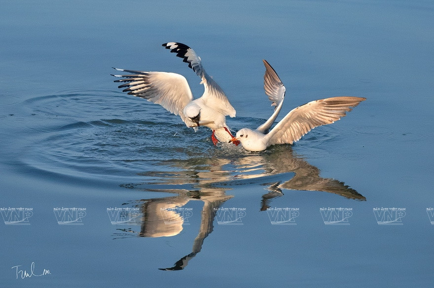 Certaines des photos affichées à "Moments de la nature"