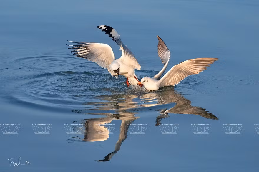 Certaines des photos affichées à "Moments de la nature"
