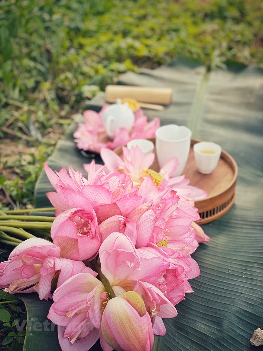 La préparation du thé au lotus est véritablement un art maniéré. 