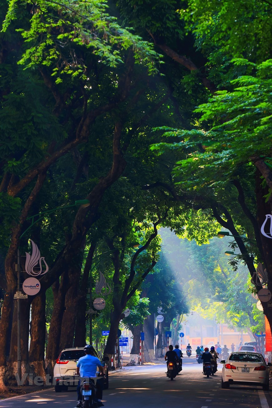 L'automne vient avec une douce lumière du soleil qui traverse les branches des vieux arbres. Conduire dans la rue à cette période de l'année est une expérience merveilleuse. Hanoï en automne est devenu une source d'inspiration de nombreux artistes, dont des photographes, des poètes, des écrivains et des compositeurs. Les images, les sons et les odeurs de l'automne sont tous mémorables. Le ciel bleu, le soleil réchauffant doucement le corps au lieu de vous laisser dans une mare de sueur et les fleurs colorées partout constituent une beauté éclatante. L'arrivée de l’automne ressemble presque à une récompense pour avoir traversé le froid mordant de l'hiver, les humidités du printemps et la chaleur accablante de l'été. 