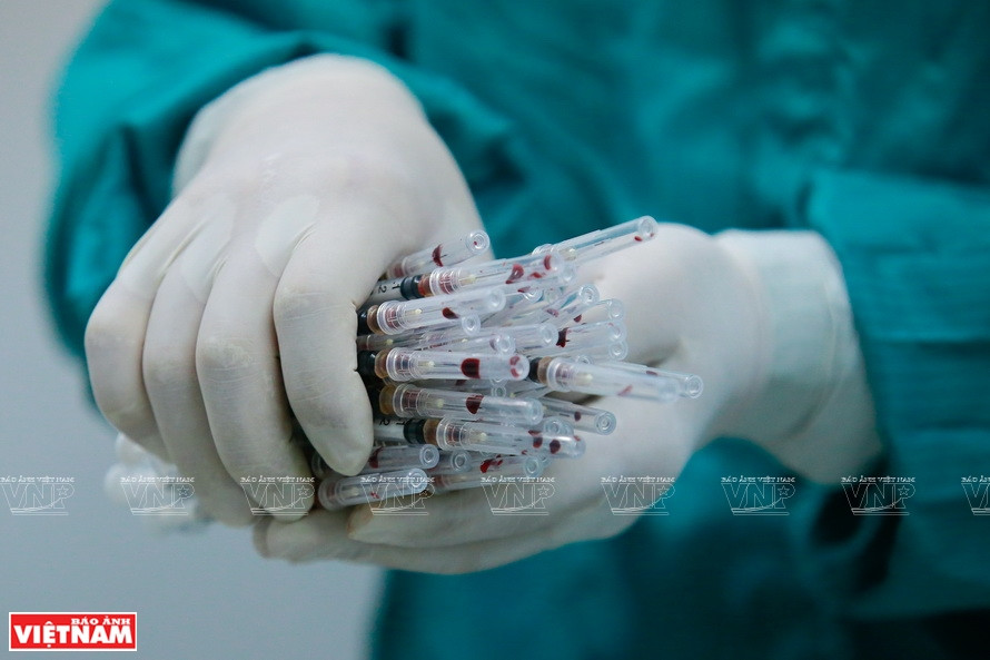 Dans un labo de cultures de cellules