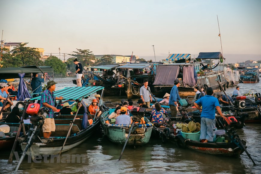 Par ailleurs, les visiteurs ne devraient pas manquer d’intéressantes expériences culinaires lorsqu’ils visitent le marché flottant. Comme les activités commerciales commencent tôt le matin, de nombreux restaurants flottants s’ouvrent pour servir le petit-déjeuner aux vendeurs et aux acheteurs. Ici, vous trouverez la plupart des plats locaux, tels que le phở (soupe de nouilles à la viande de bœuf ou de poulet), le hủ tiếu (soupe de pâtes au porc, spécialité du Sud), le cơm tấm (contenant riz cassé cuit à la vapeur avec porc grillé, couenne de porc saupoudrée de riz grillé moulu, œufs frits, carottes, radis blancs marinées et tranches de concombre), etc. Malgré le manque de place, ces “restaurants flottants” servent une cuisine délicieuse. Photo: Vietnamplus