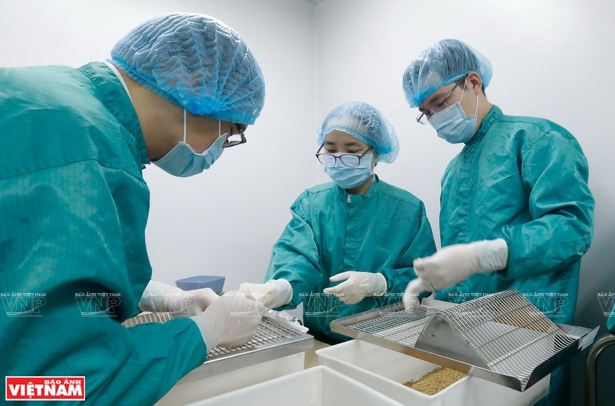 De jeunes techniciens dans les labos de VABIOTECH de recherche sur les vaccins. 