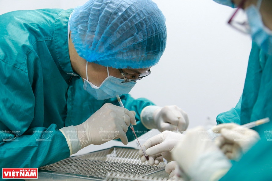 Culture de cellules pour produire des vaccins de VABIOTECH. 