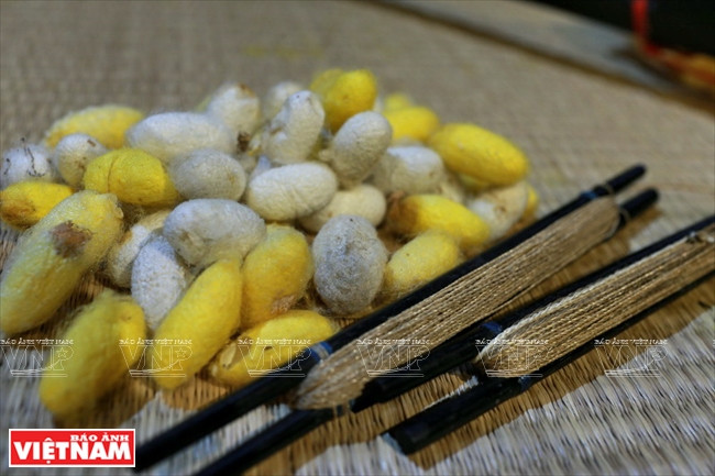 Les cordes des instruments de Xuân Hoach sont en soie naturelle.