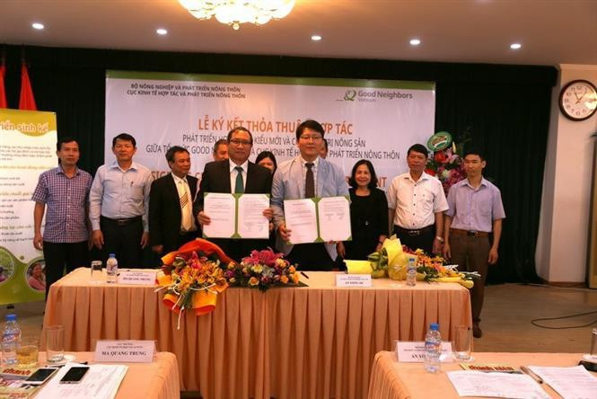 Le directeur du Département de la coopération économique et du développement rural, Ma Quang Trung (gauche) et le représentant en chef de Good Neighbours International (GNI), An Yong Sic signent un accord de coopération sur le programme de soutien à l’édification de nouveaux types de coopérative et au développement des chaînes de valeurs des produits agricoles vietnamiens. Photo: VNA