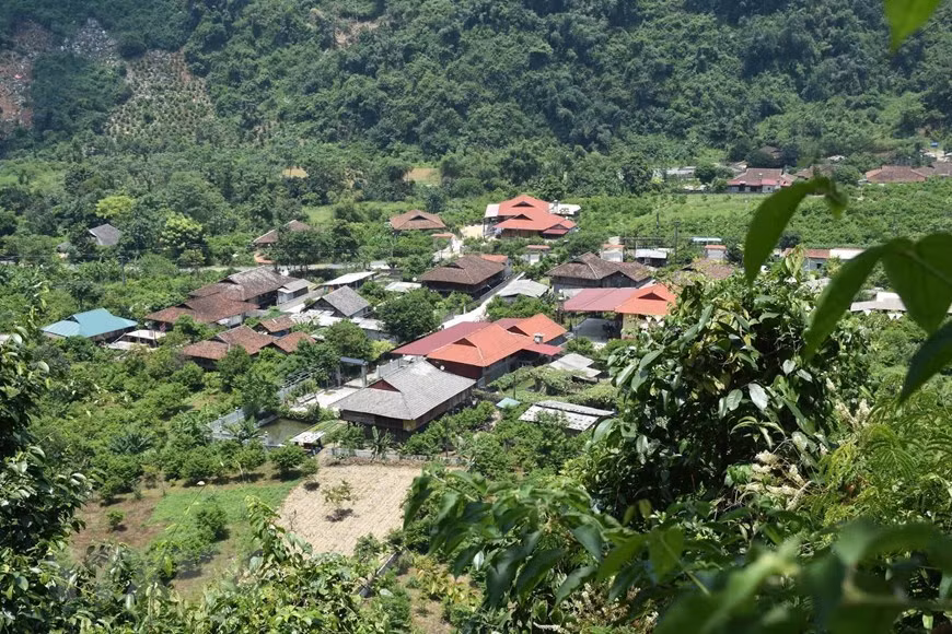 Des maisons sur pilotis dans le hameau de Hoan Trung Photo: VNA