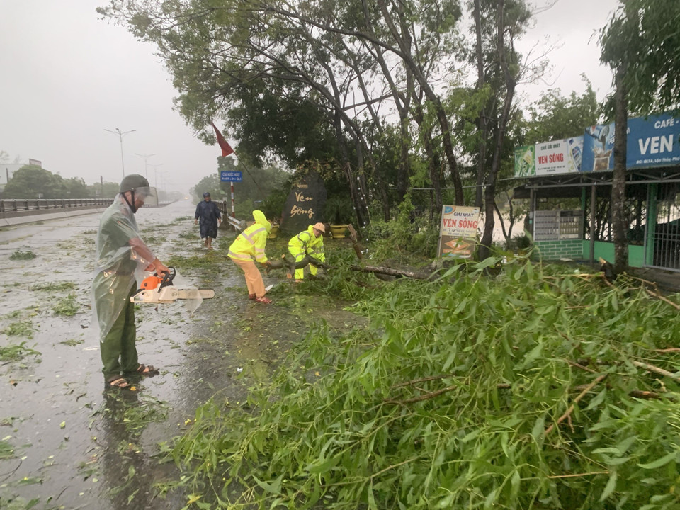 Des policiers de la province de Thua Thien-Hue rangent des arbres abattus par les vents violents du typon Noru. Photo: VNA
