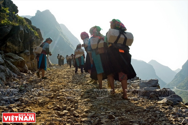 Femmes H’mông transportant des ​parpaings pour bâtir des maisons en dur.