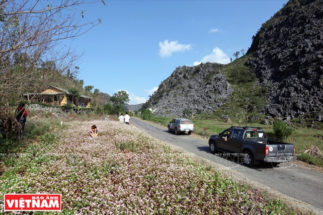 La voirie du Haut plateau karstique a été achevée, ce qui facilite le transport des touristes. 