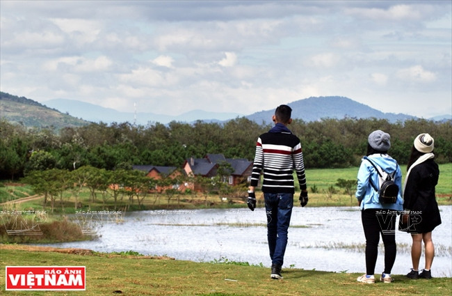 Touristes se complaisant à profiter de l'espace paisible de la ferme laitière de Dalat. ​