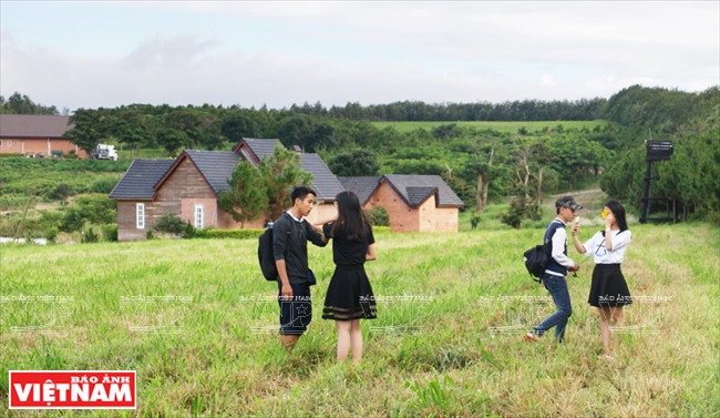 La ferme est devenue une nouvelle destination de charme pour les touristes à Da Lat, province de Lâm Dông.