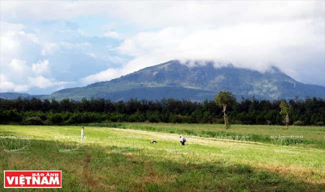 La ferme offre aux touristes une expérience inoubliable.