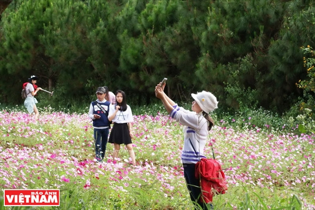Des jeunes prennent la pause dans le champ de fleurs.