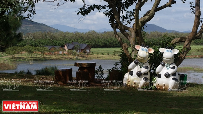 Cette jolie paire de vaches laitières donne le ton.