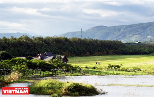 La ferme laitière Dalat, sur le plateau de Lâm Dông, ressemble à un hameau européen.