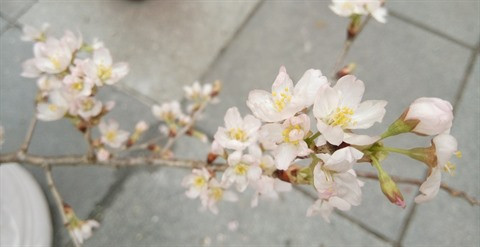 Nhập mô tả cho ảnh