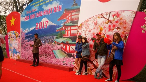 La fête des cerisiers en fleurs permet de renforcer les échanges entre Vietnamiens et Japonais.